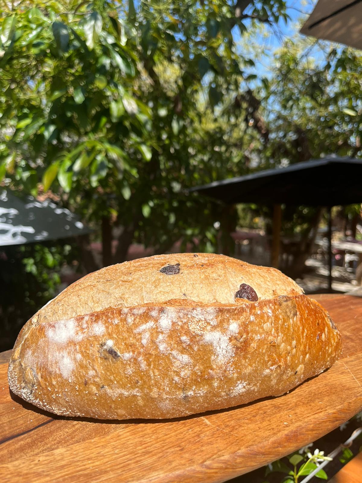 Sourdough Bread with Olives