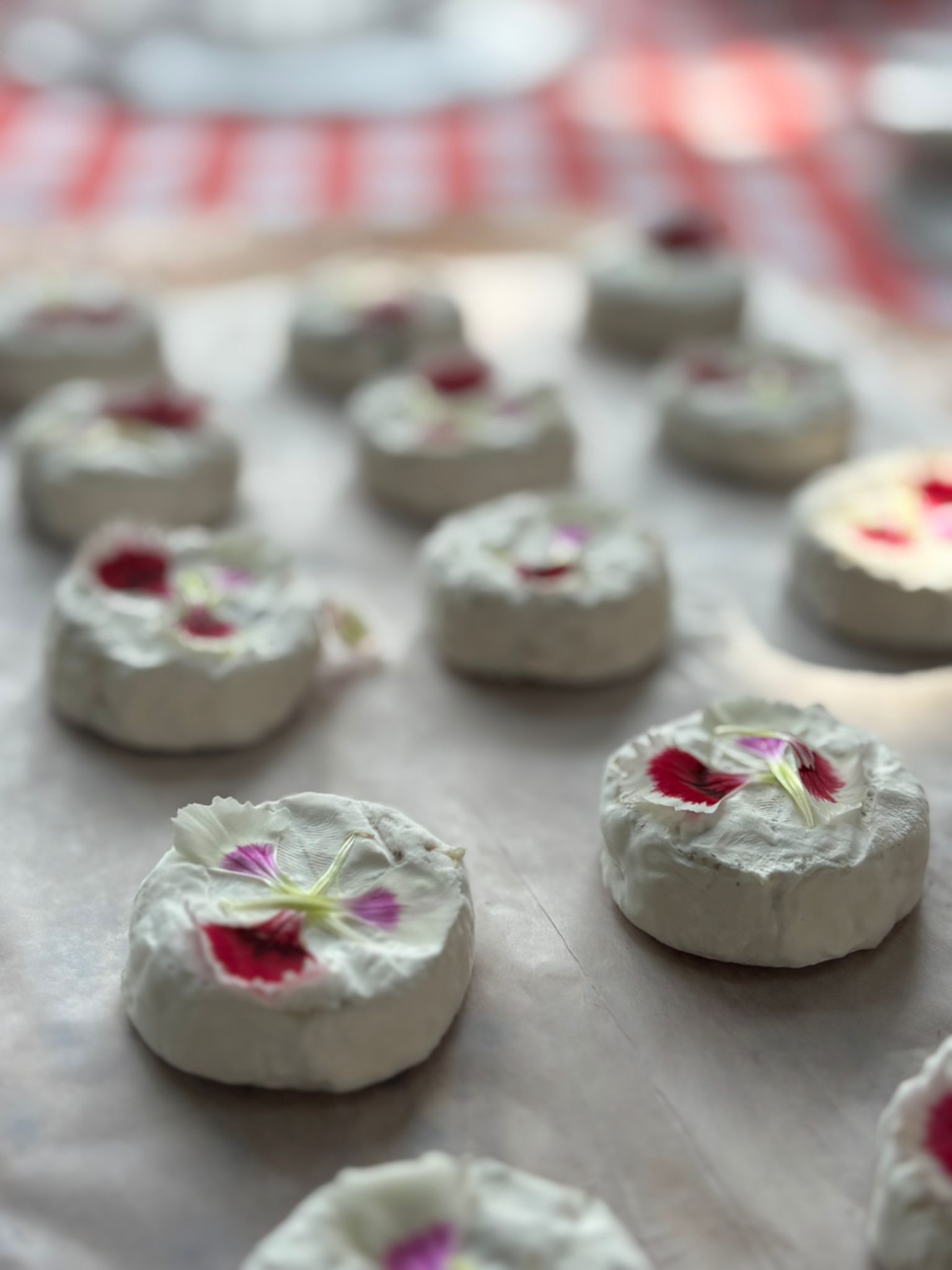 WhatsApp Image 2025-10-09 at 09.23.39